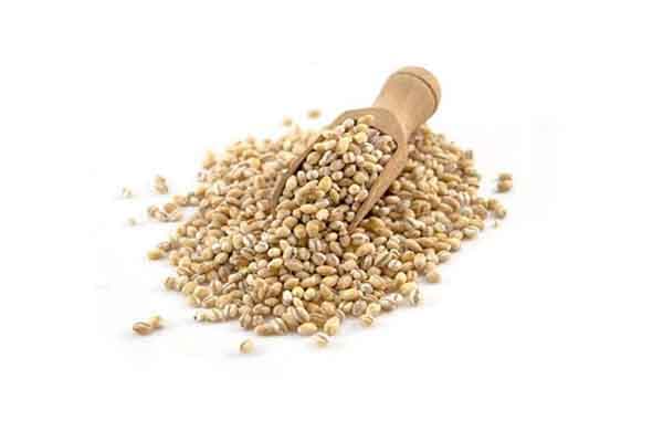 Barley