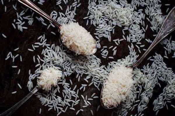 Rice