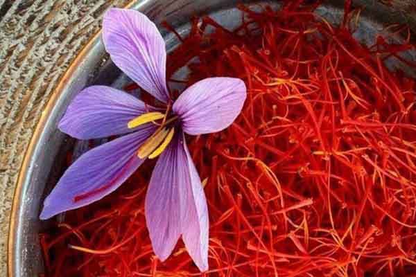 Saffron