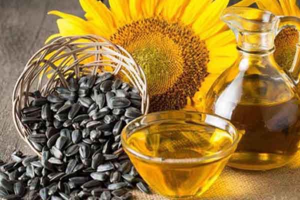 Sunflower Oil